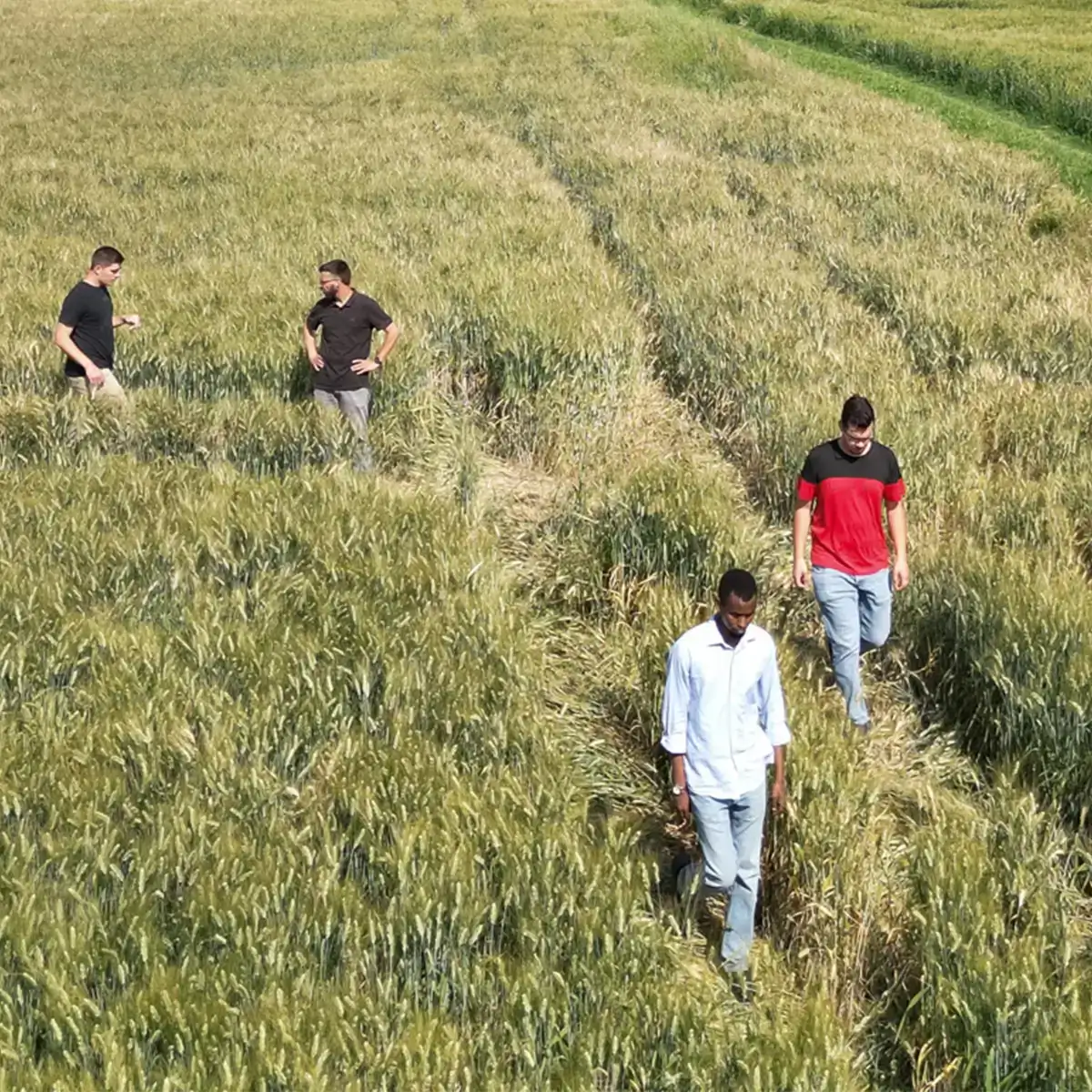 Studenti nel campo